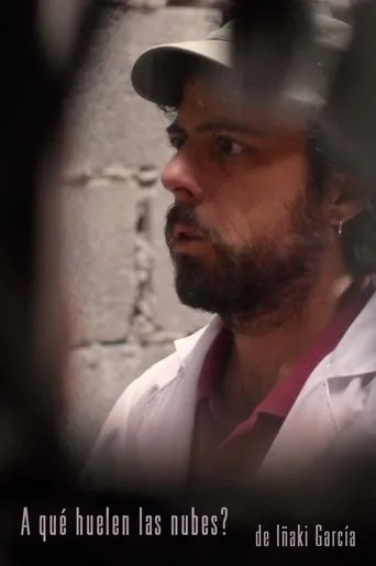 Póster de A Qué Huelen Las Nubes?
