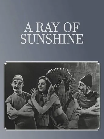 Póster de A Ray of Sunshine