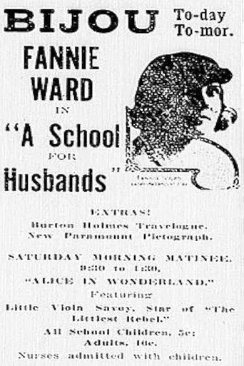 Póster de A School for Husbands