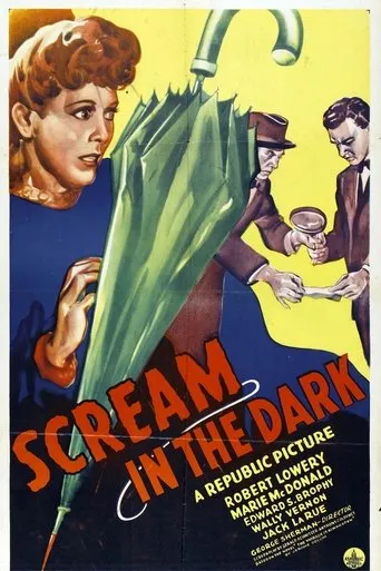 Póster de A Scream in the Dark