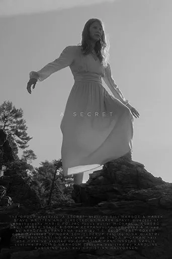 Póster de A Secret