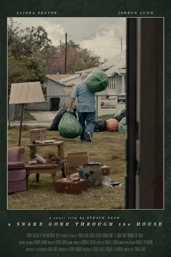 Póster de A Snake Gone Through the House
