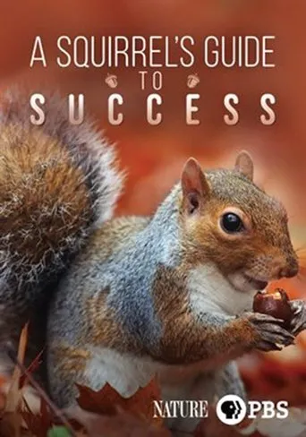 Póster de A Squirrel's Guide to Success