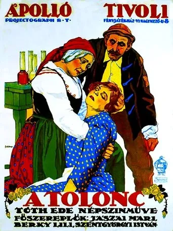 Póster de A tolonc