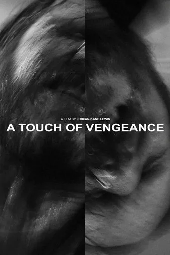 Póster de A Touch of Vengeance