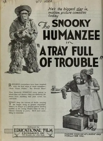 Póster de A Tray Full of Trouble