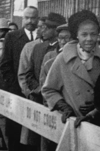 Póster de A Tribute to Malcolm X