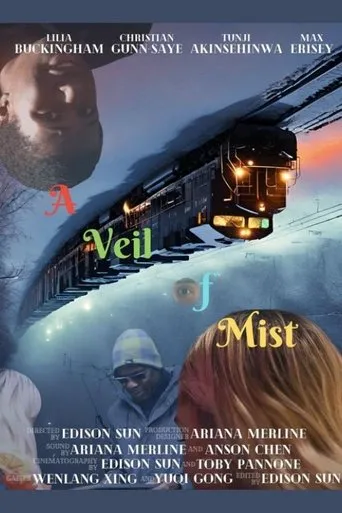 Póster de A Veil of Mist