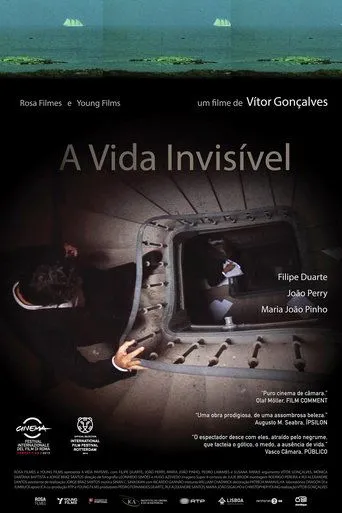 Póster de A Vida Invisível