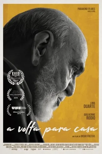 Póster de A volta para casa