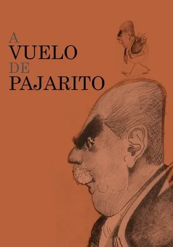 Póster de A vuelo de pajarito