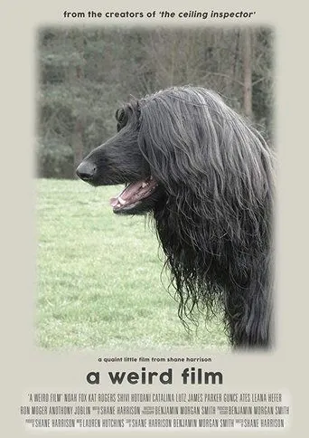 Póster de A Weird Film