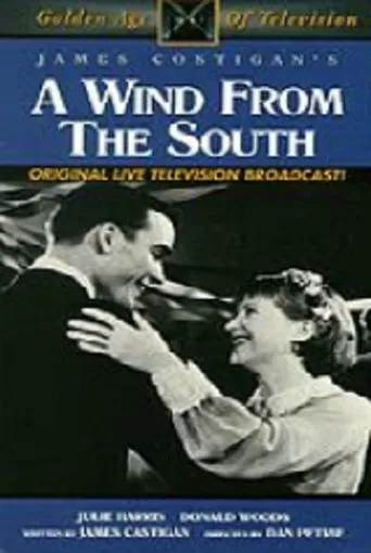 Póster de A Wind from the South