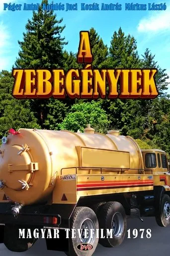 Póster de A zebegényiek