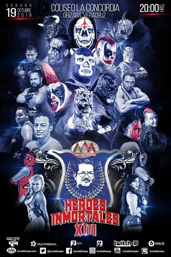 Póster de AAA Héroes Inmortales XIII