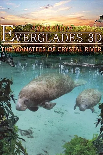 Póster de Abenteuer Everglades - Die Manatis des Crystal River