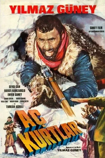 Póster de Aç Kurtlar