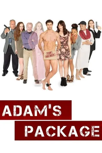 Póster de Adam's Package