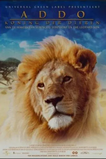 Póster de Addo, koning der dieren