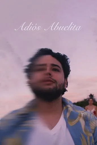 Póster de Adiós Abuelita
