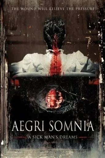 Póster de Aegri Somnia