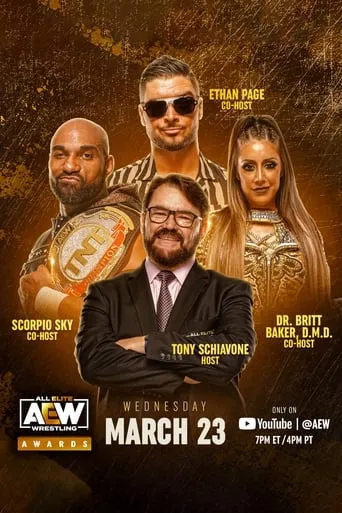 Póster de AEW Awards