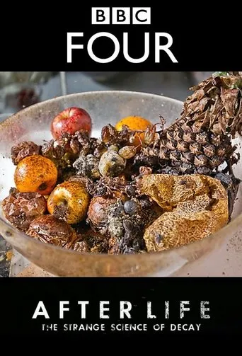 Póster de After Life: The Strange Science of Decay