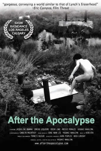 Póster de After the Apocalypse