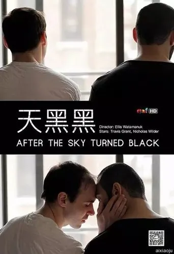 Póster de After the Sky Turned Black