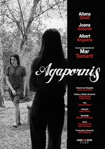 Póster de Agapornis