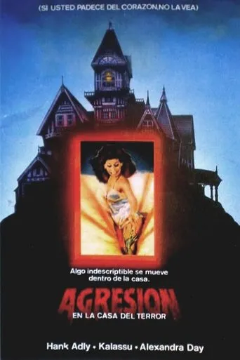Póster de Agresión en la casa del terror