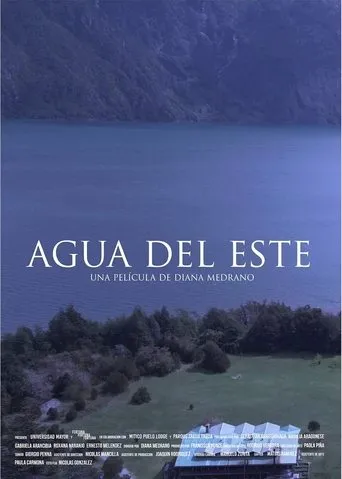 Póster de Agua del este