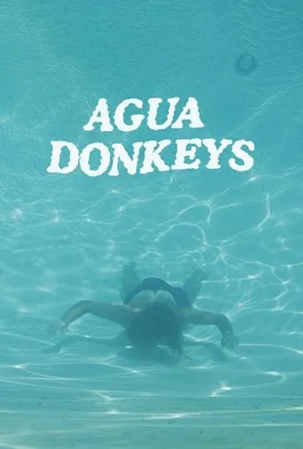 Póster de Agua Donkeys