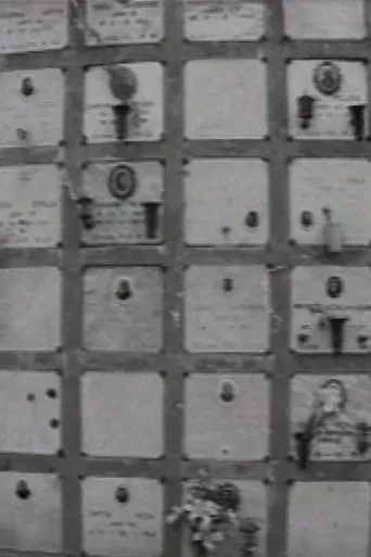 Póster de Ai Rotoli