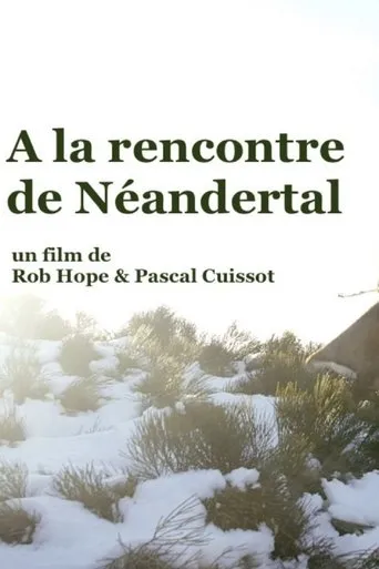 Póster de Al encuentro de los neandertales