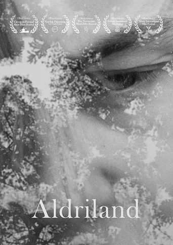 Póster de Aldriland