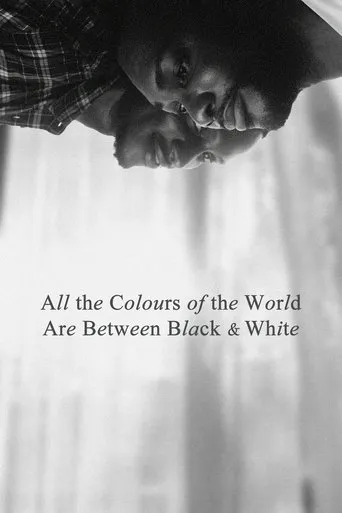 Póster de All the Colours of the World Are Between Black and White