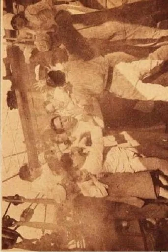 Póster de Alma chilena