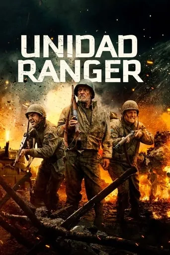 Póster de Alone We Fight