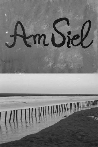 Póster de Am Siel