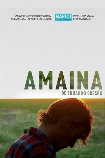 Póster de Amaina