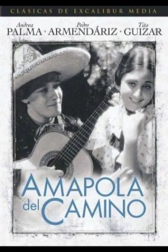 Póster de Amapola Del Camino