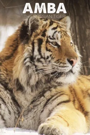 Póster de Amba: The Russian Tiger