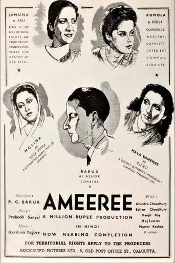 Póster de Ameeree