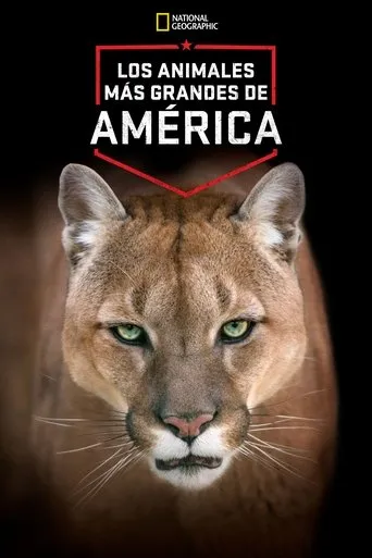 Póster de America's Greatest Animals