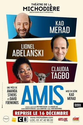 Póster de Amis
