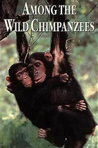 Póster de Among the Wild Chimpanzees