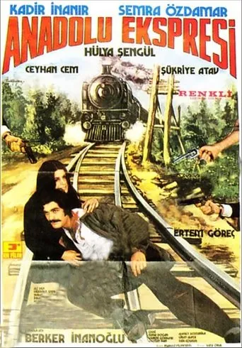 Póster de Anadolu Ekspresi