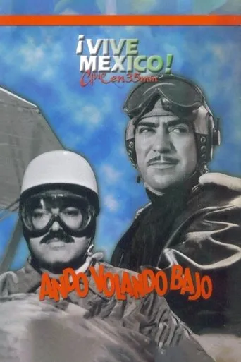 Póster de Ando volando bajo