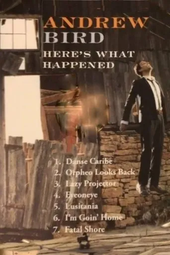Póster de Andrew Bird: Here's What Happened